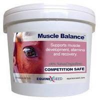 Muscle support from Equine Exceed