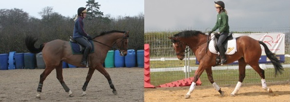 2 images comparing a horse's way of going
