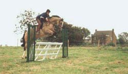 EQ and Fred